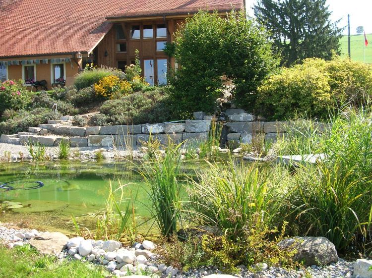 Création de jardin Longevilles-Mont-d'Or
